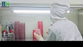 ELASEM® Egg Shell Membrane Series: The Raw Material Solution for Joint Health & Beauty