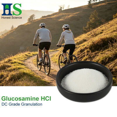 Pharma Grade D-Glucosamine HCl پودر | HS Nutra